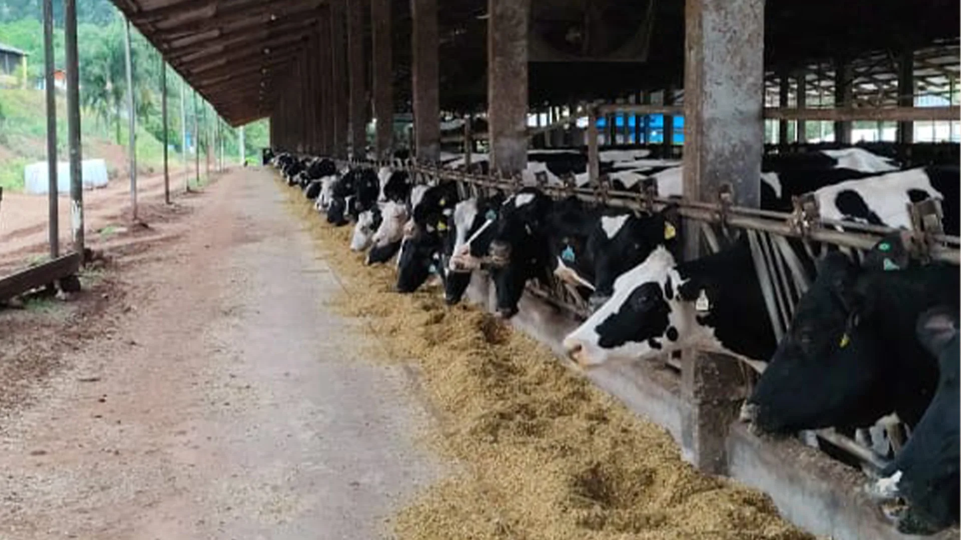 Sem Título-1-Recuperado-Recuperado-Recuperado-Recuperado-Recuperado-Recuperado